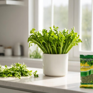 سبزی خشک قورمه‌سبزی