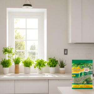 سبزی خشک آش