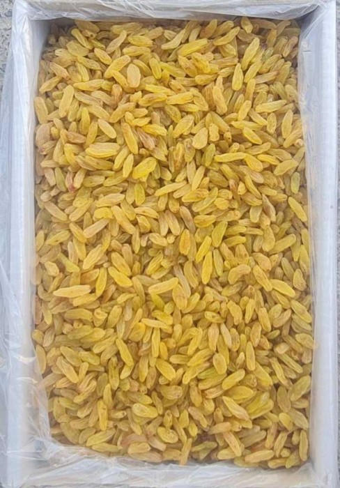 Vitatips – Golden Raisins 5 kg