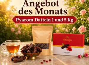 Angebot_De